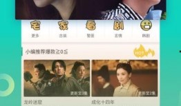 新瓜子最新爆料视频大全,揭秘娱乐圈最新动态